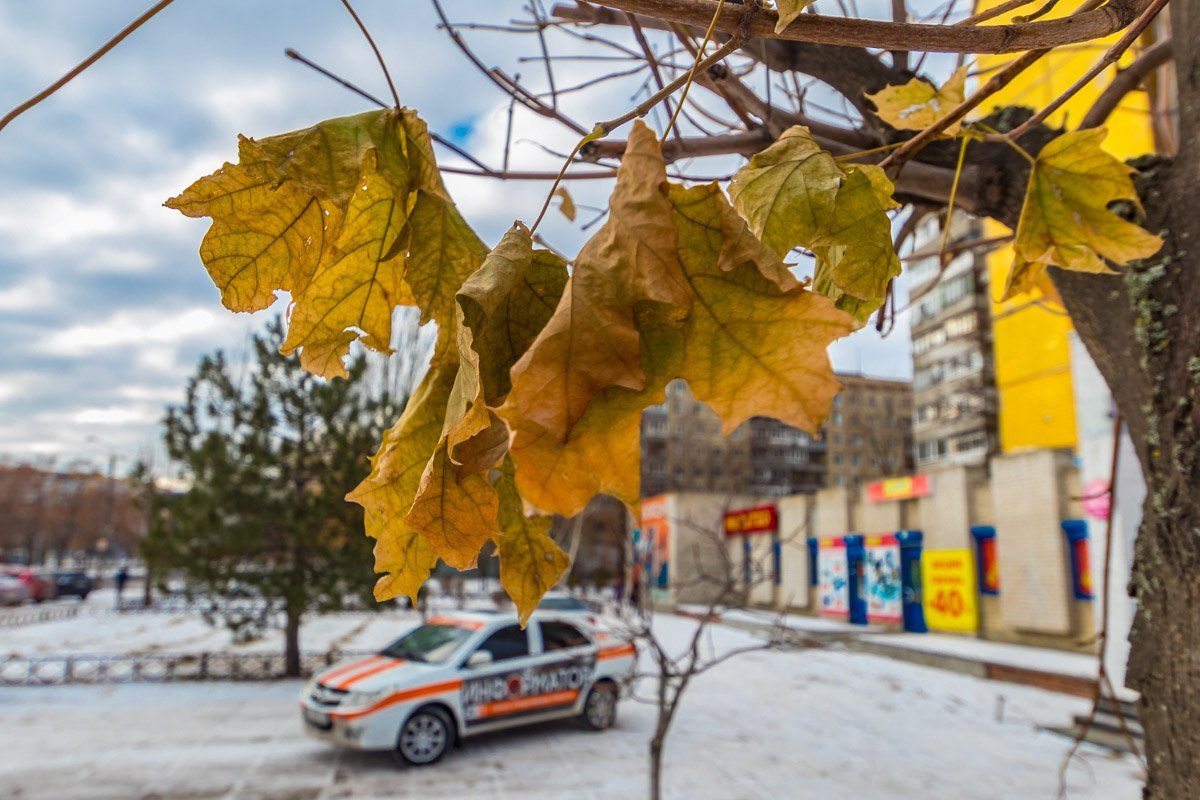 Календарная зима уже началась, но осень упрямо не уступает права
