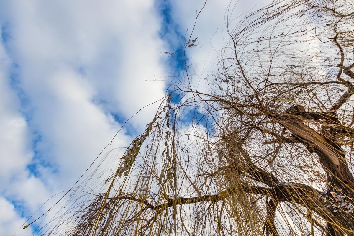 Самое время посмотреть на небо