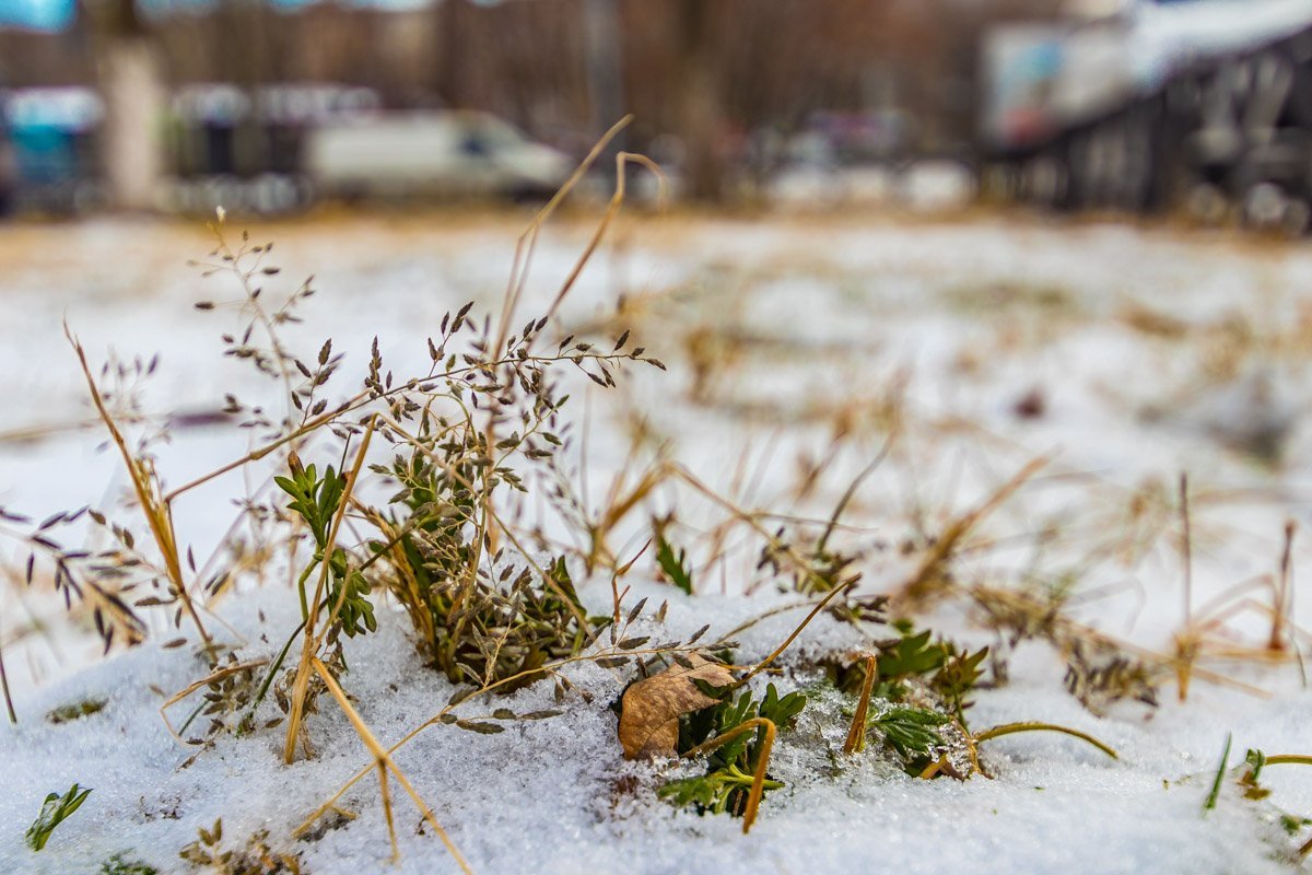 Природа заснула