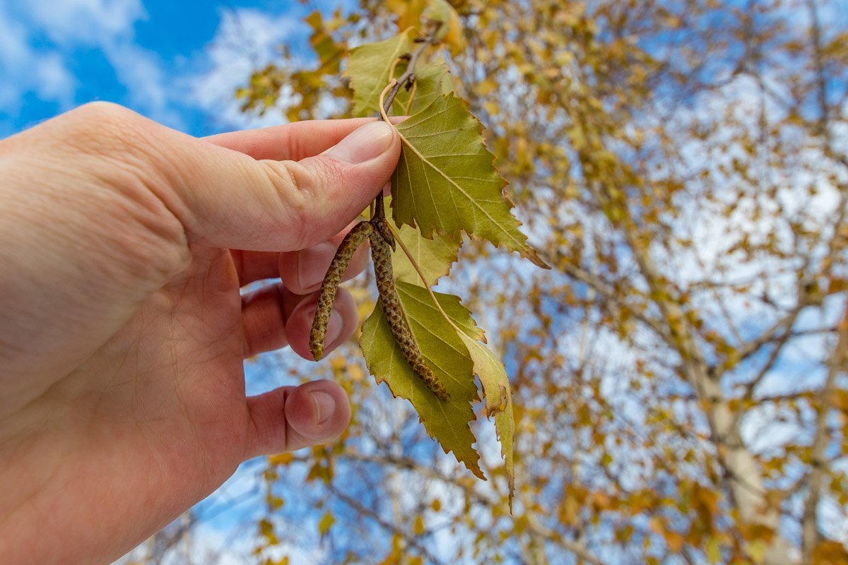 Улицы наполнились морозным воздухом