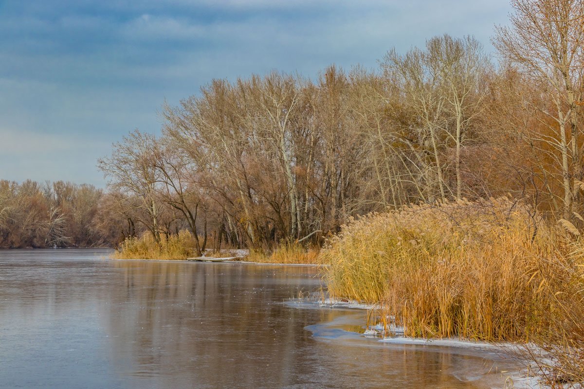 Природа дарит чувство покоя