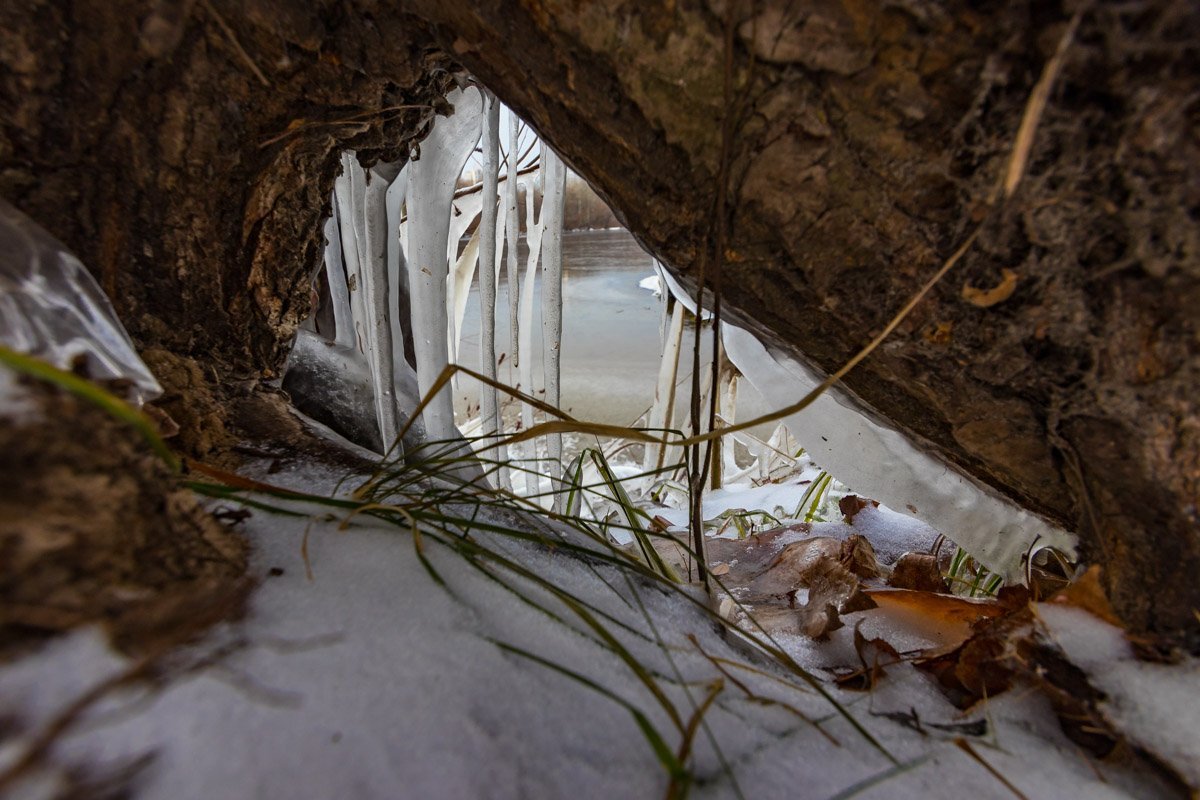 Красота замерзшей природы поражает