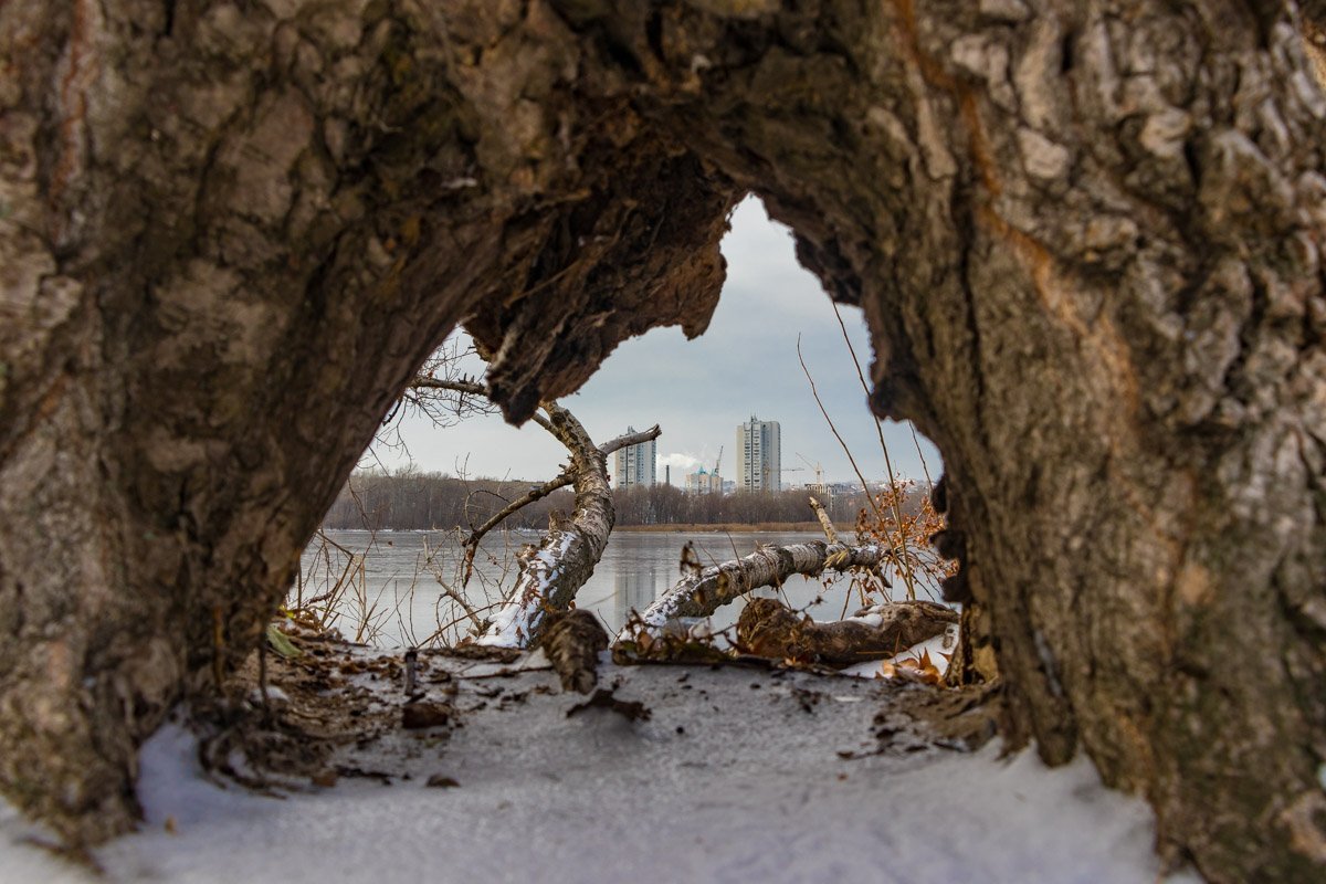 Фото: Андрей Шушпан