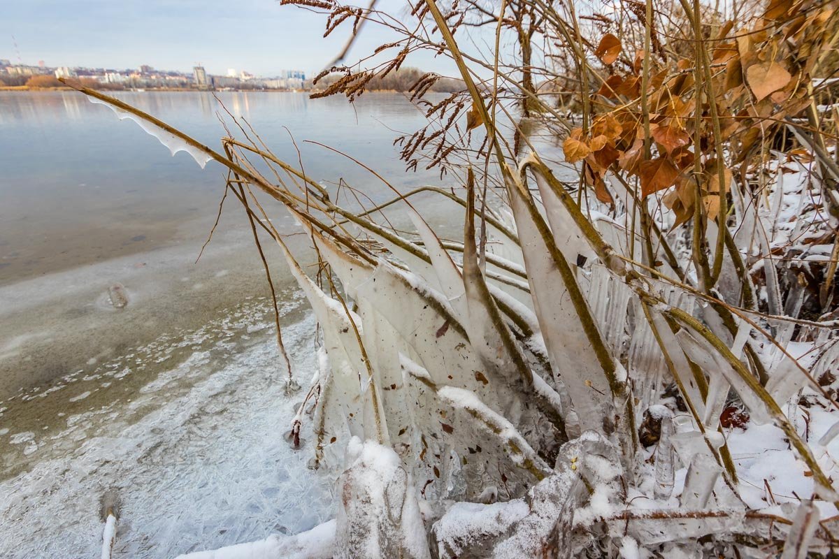 Мгновенье замерло