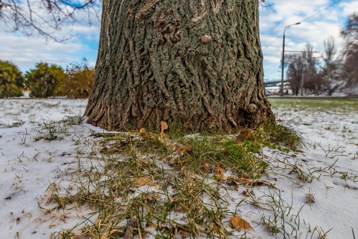 Зима застала ноябрь врасплох 