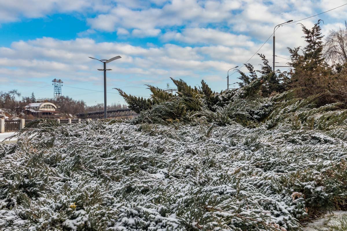 Волшебная картина