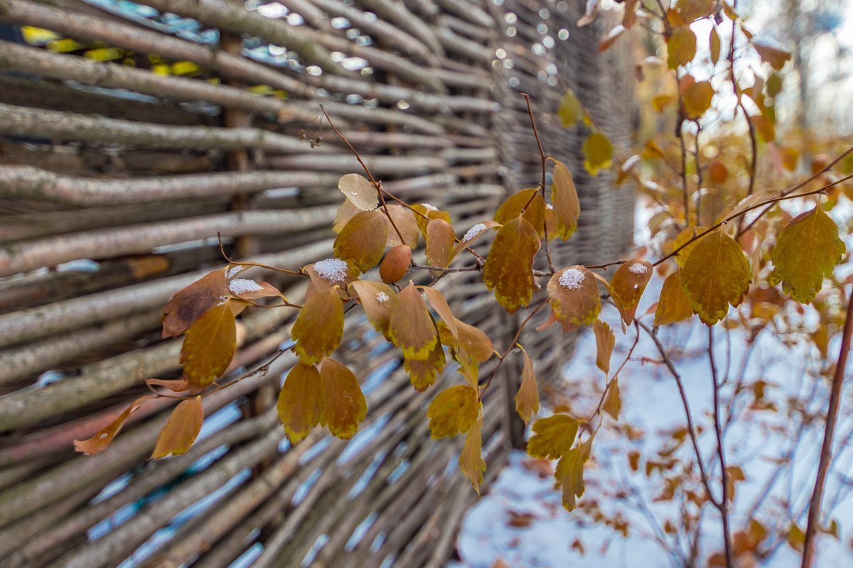 Красиво рядом, главное замечать