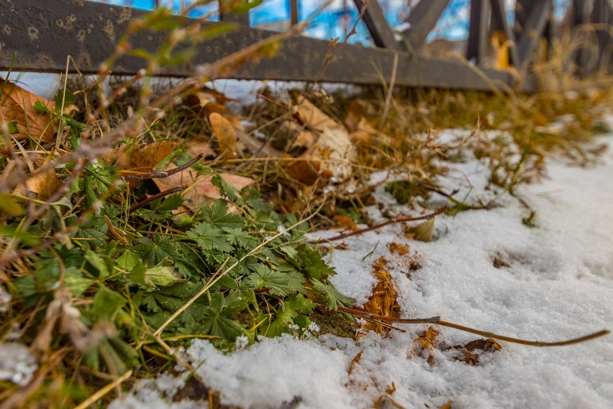 Фото Андрея Шушпана