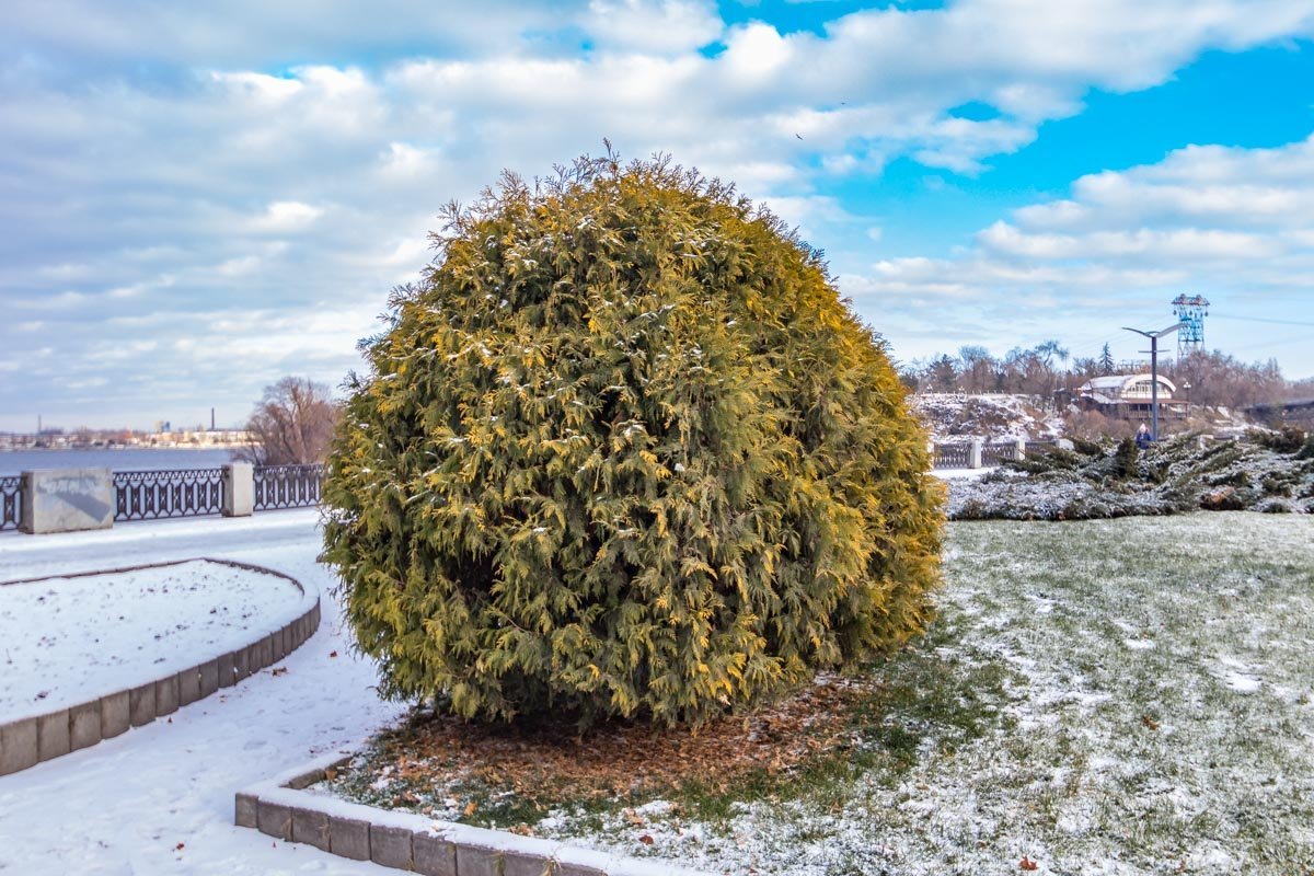 Днепр, укрытый снежным одеялом, очаровывает