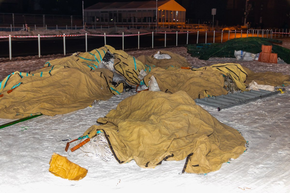 Совсем скоро жителей Днепра порадует вечнозеленая красавица Совсем скоро жителей Днепра порадует вечнозеленая красавица