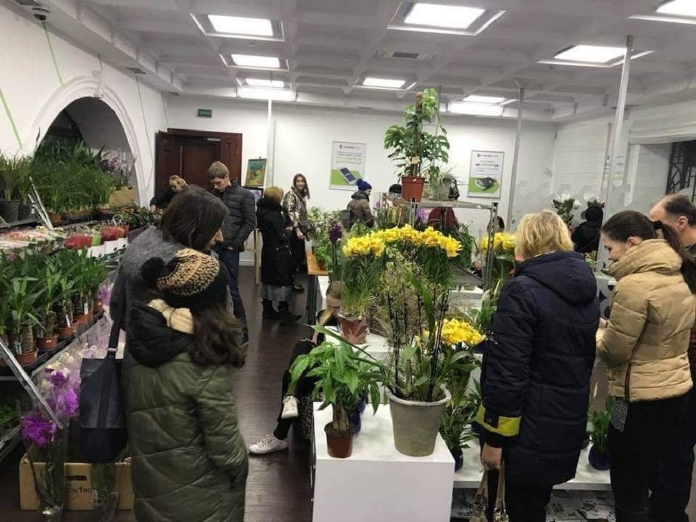 На выходных здание в центре Днепра превратится в голландский райский сад 2