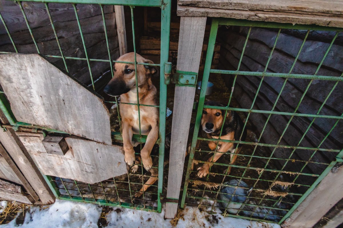 Любят внимание