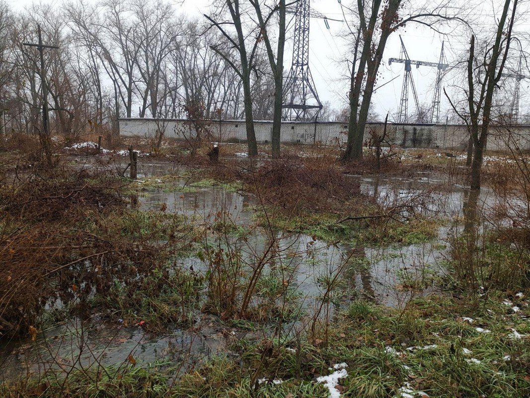 Появилось болото Появилось болото