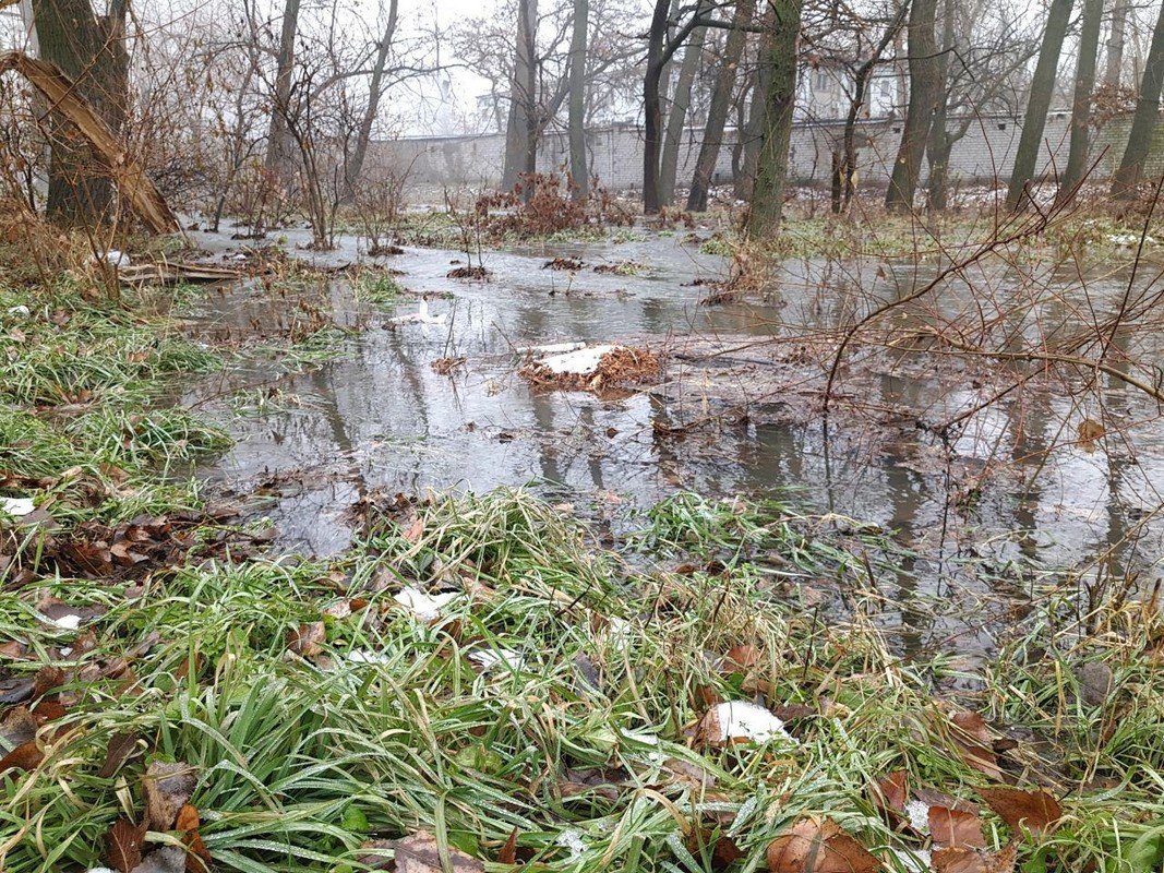 Начало новой жизни Начало новой жизни
