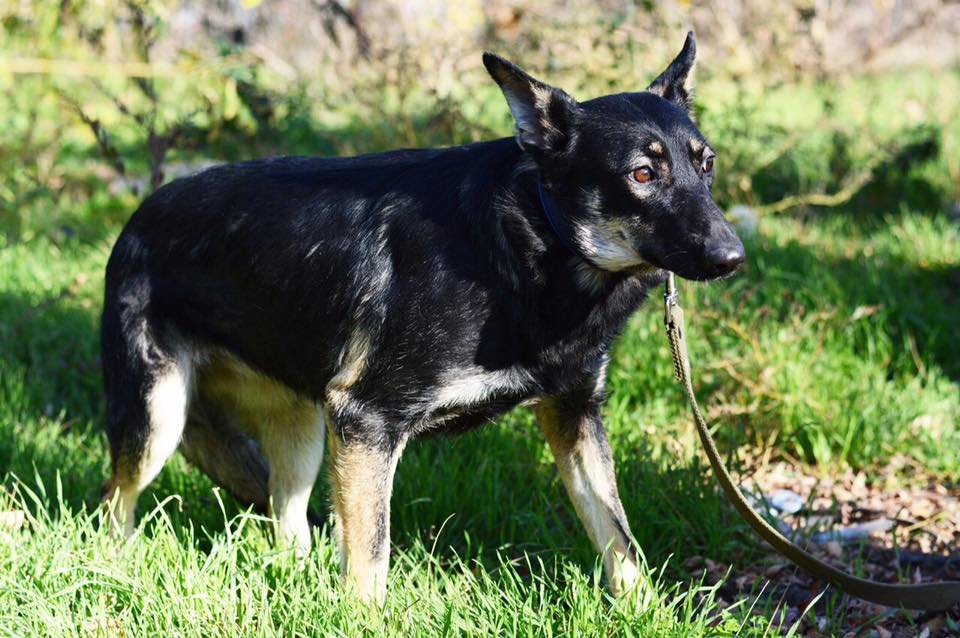 Няшная Жуля