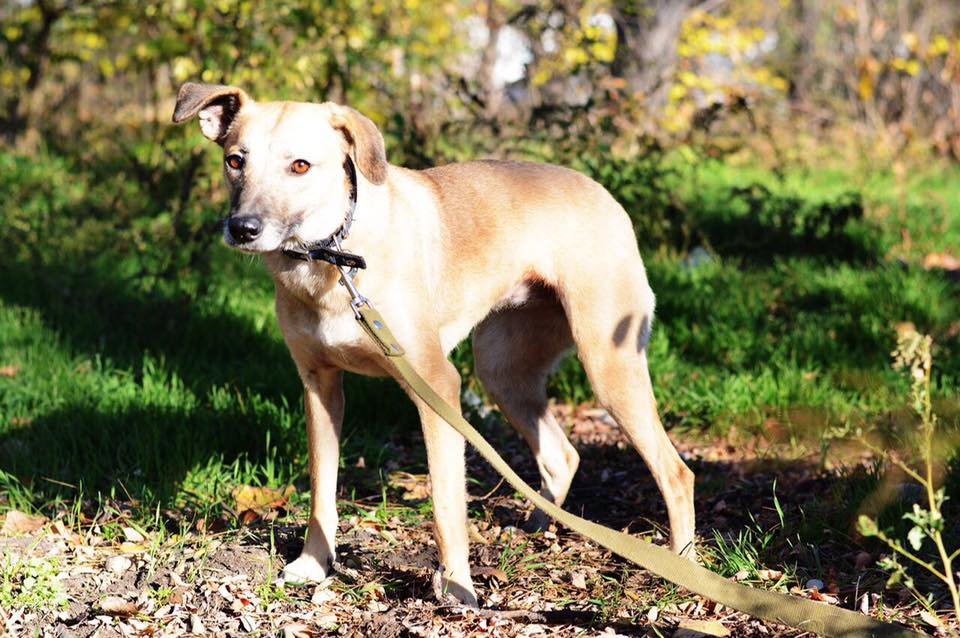 Чудная Молли