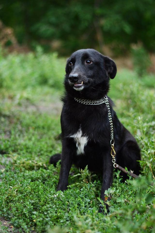 Маленькая Жанночка