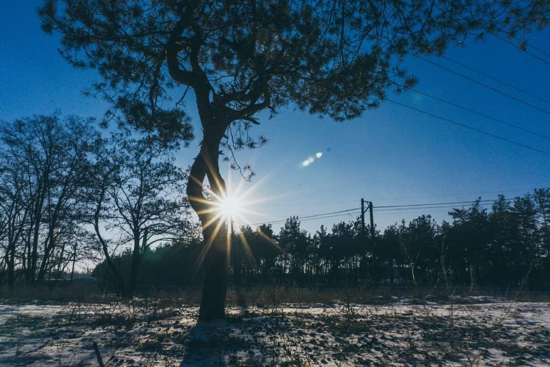 В лучах. Фото: mouskina_loki В лучах. Фото: mouskina_loki