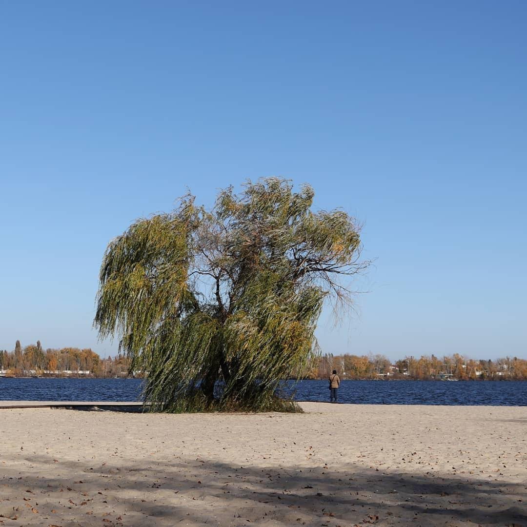 Одиноко. Фото: aleksazarov635 Одиноко. Фото: aleksazarov635