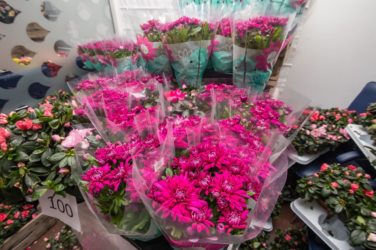 Вырученные деньги пойдут на благое дело Вырученные деньги пойдут на благое дело