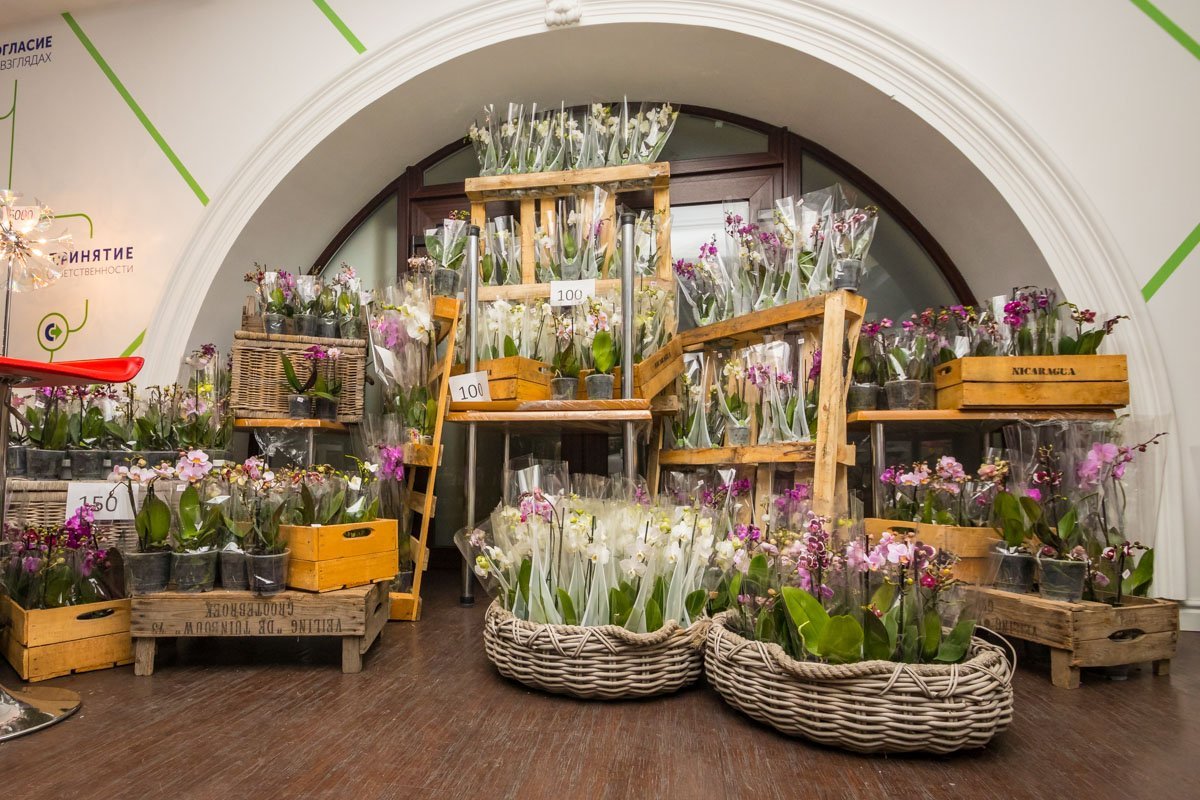 Представили более 4 000 экземпляров Представили более 4 000 экземпляров