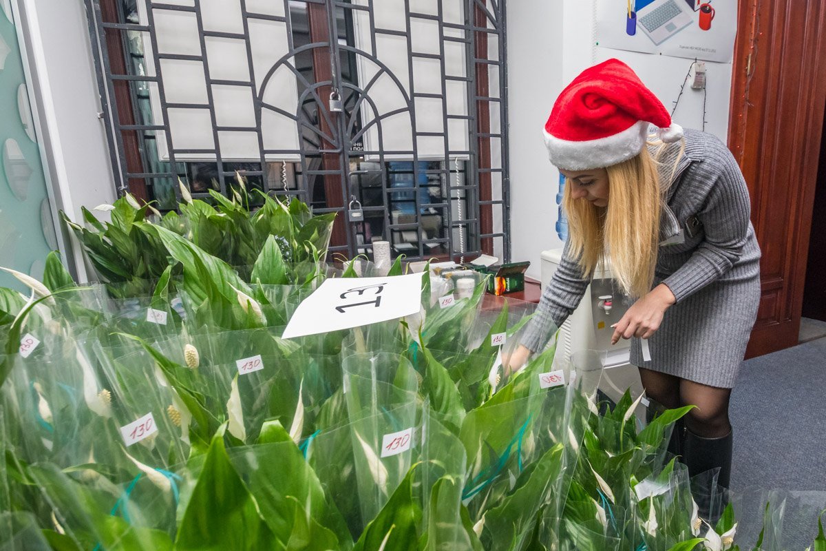 Планируют собрать 300 тысяч гривен Планируют собрать 300 тысяч гривен