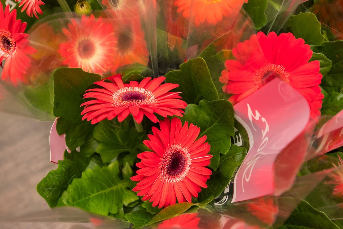 Цены не кусаются Цены не кусаются