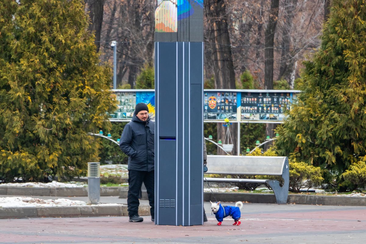 Бедный собакен не дотягивается до дерева Бедный собакен не дотягивается до дерева