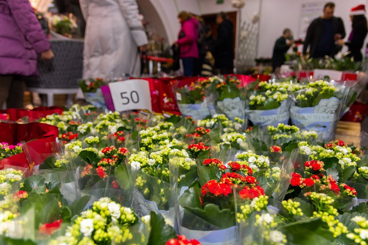 Цены радуют