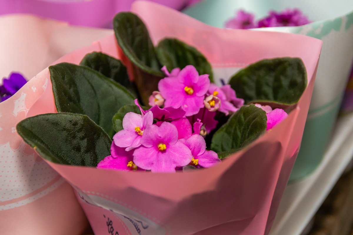 Вы еще можете успеть