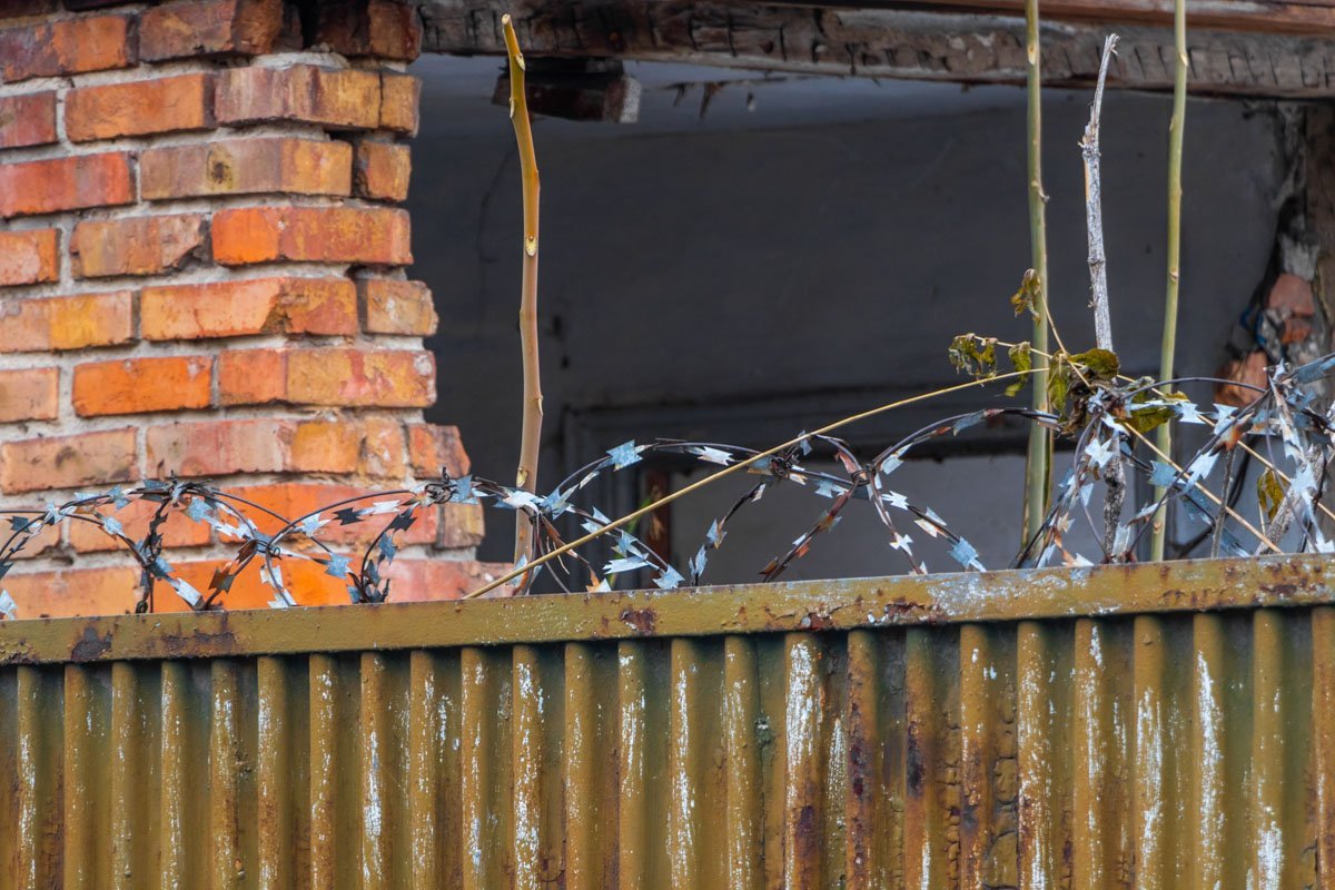 А вот и колючка