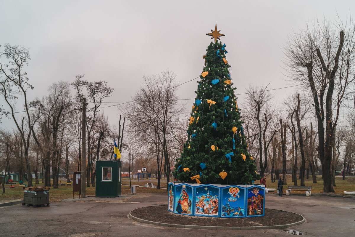 Елка в сквере на Амуре Елка в сквере на Амуре