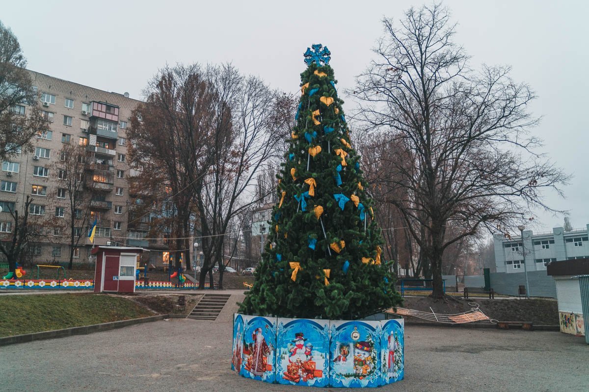 Елка в парке имени Володи Дубинина Елка в парке имени Володи Дубинина