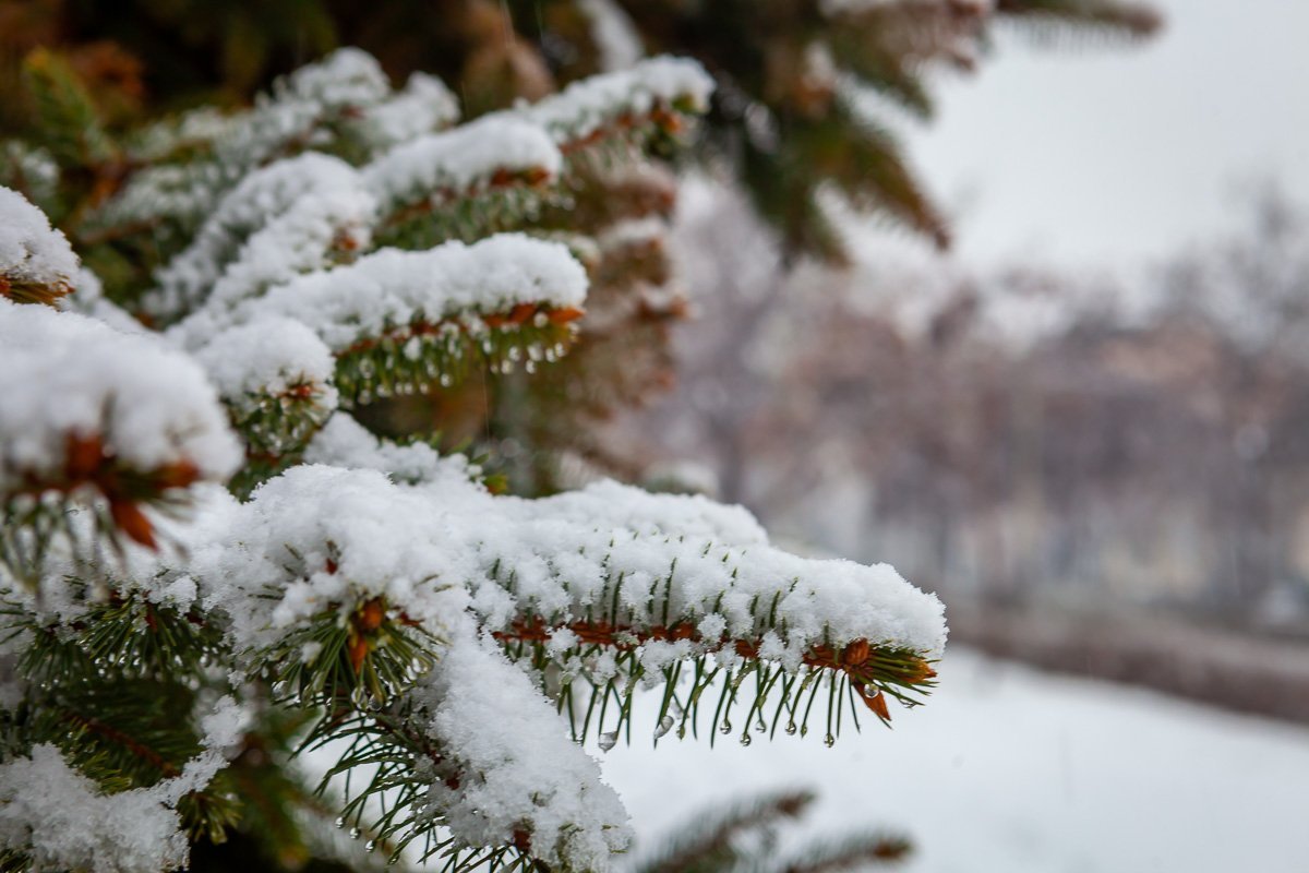 Днепр засыпало снегом: что происходит на дорогах 6