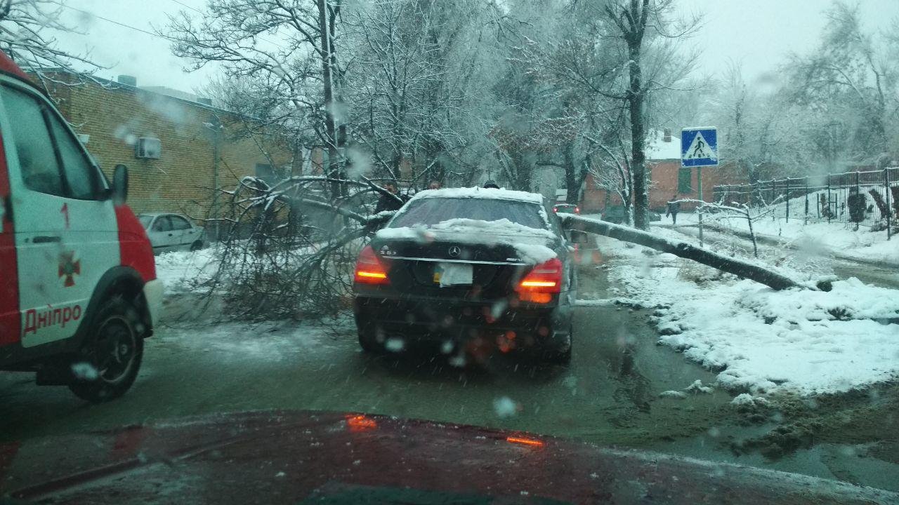 На улице Героев Крут на Mercedes упало дерево