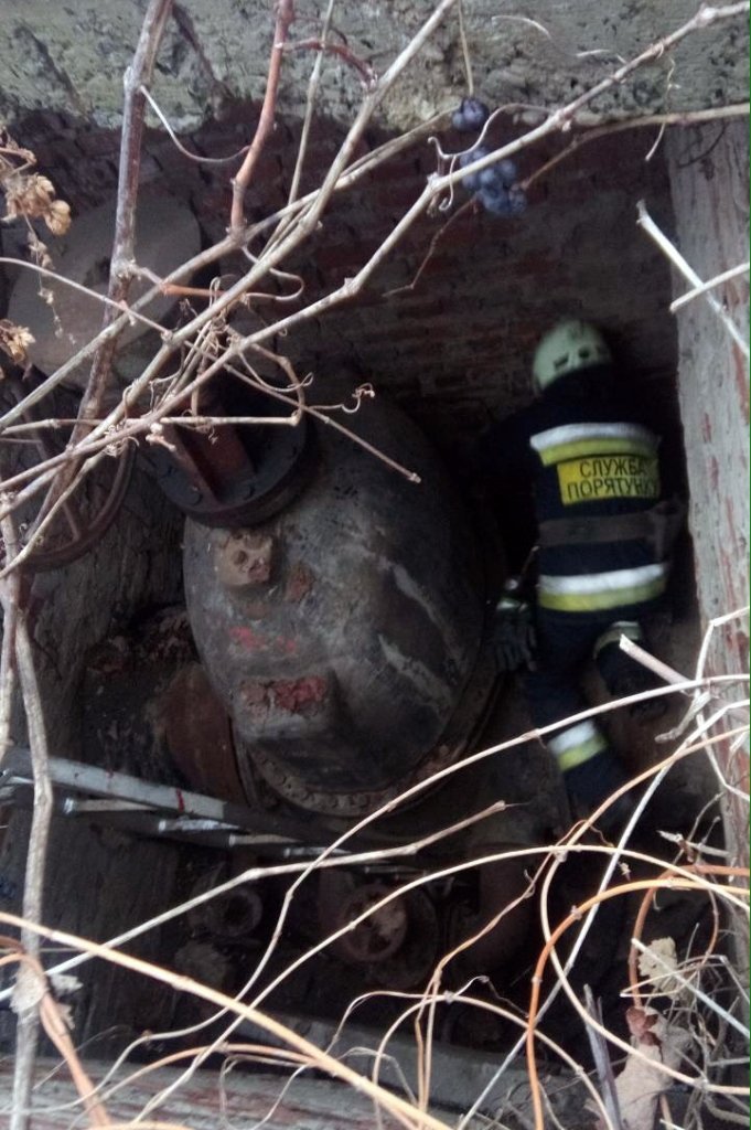 В Днепре спасатели достали собаку из колодца