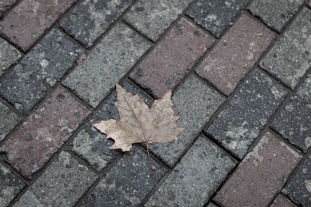 Осенняя зима Осенняя зима