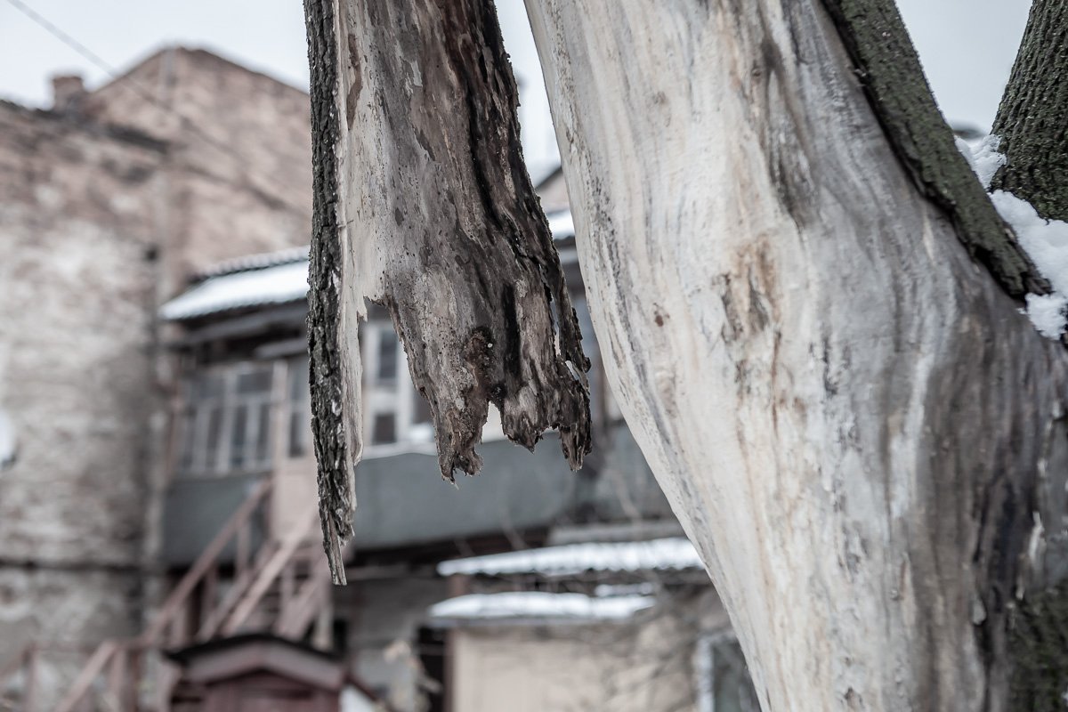 Город не хочет просыпаться Город не хочет просыпаться