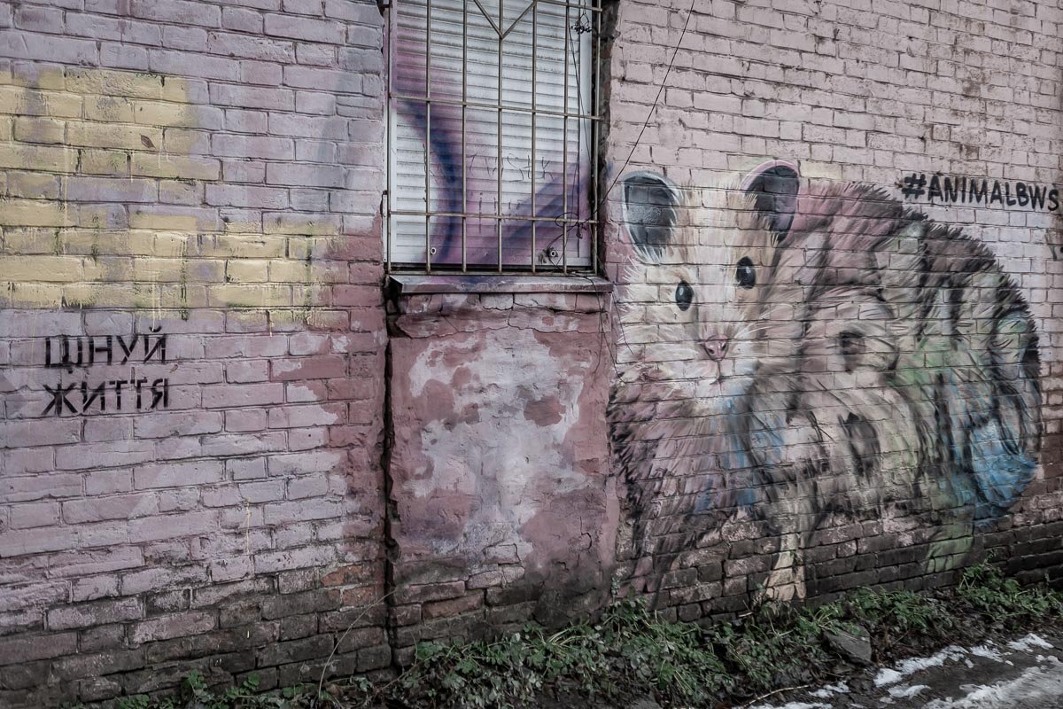 Ну хотя бы попробуй Ну хотя бы попробуй