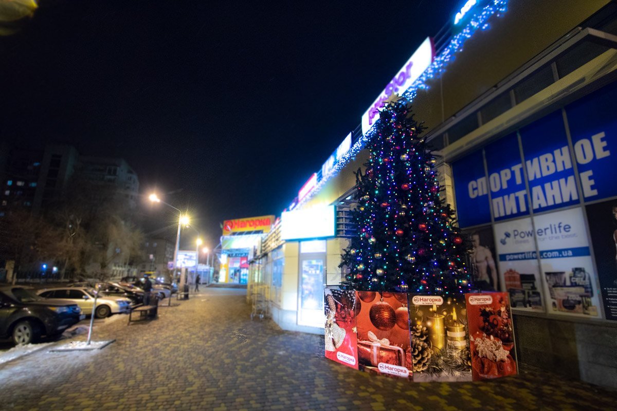 Дети любят елки