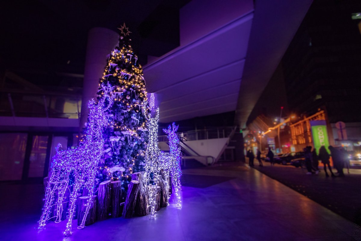 Королева зимы