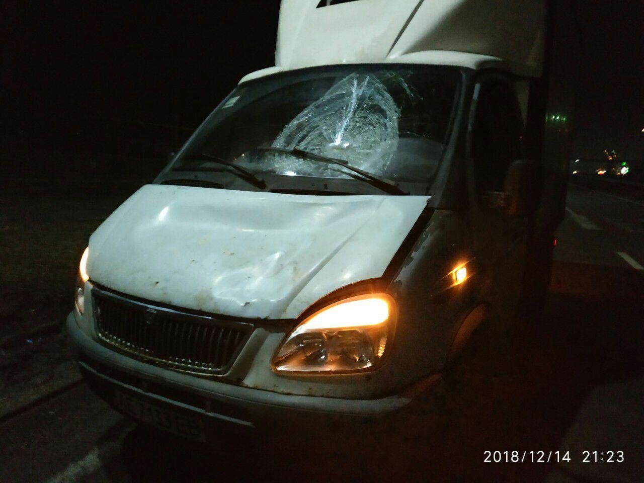 Водитель автомобиля ГАЗ находился за рулем трезвым Водитель автомобиля ГАЗ находился за рулем трезвым