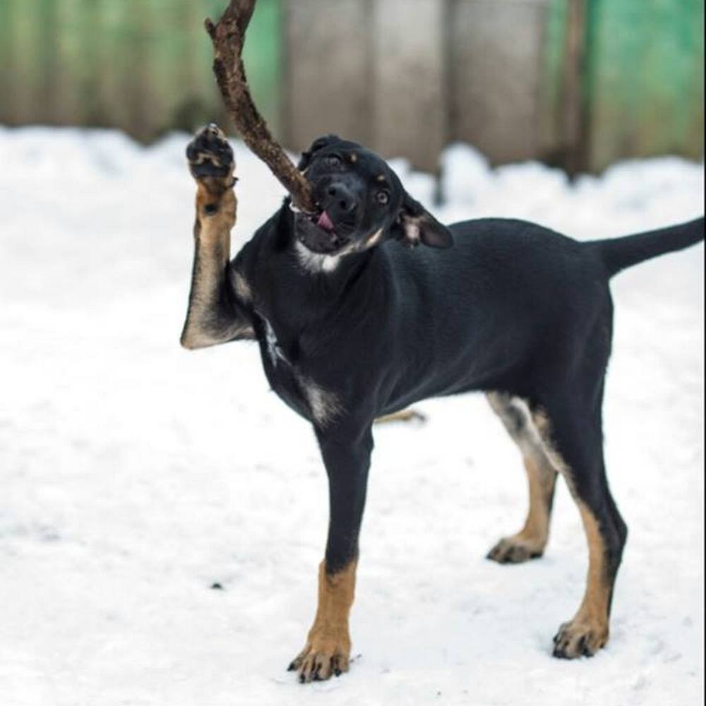 Ну не дурко ли? 😂