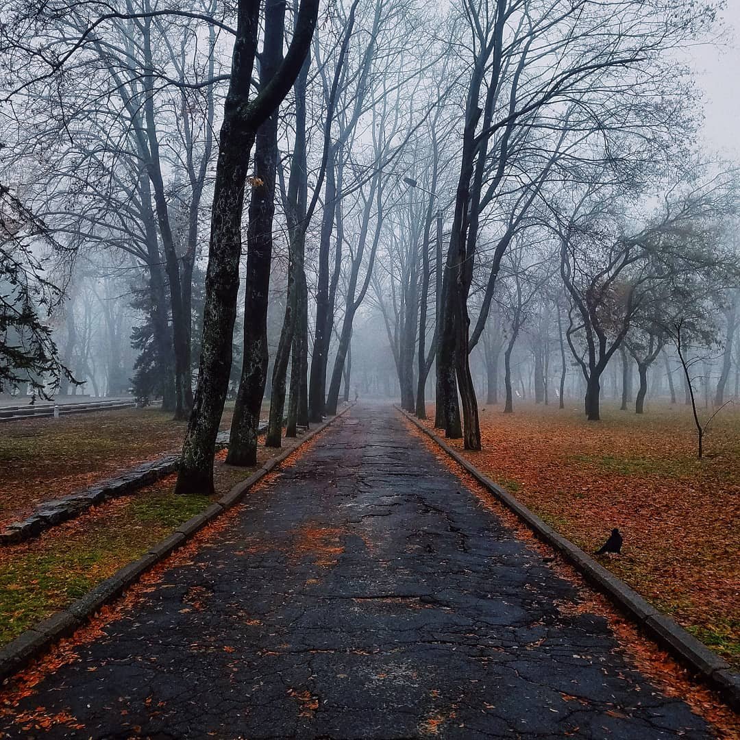 Днепр накрыл туман. Фото: dimaskin007