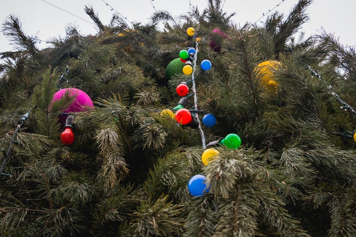 Не перенасыщали игрушками Не перенасыщали игрушками