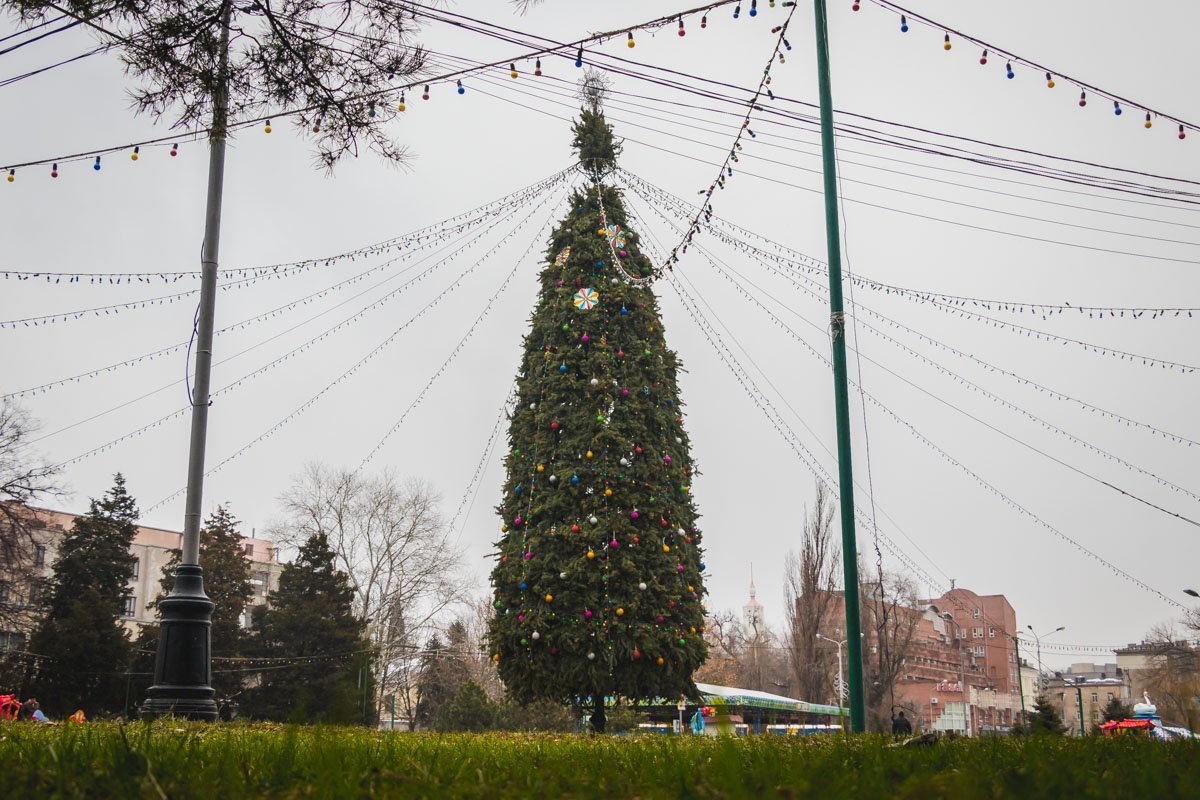 Зима, ты где? Зима, ты где?