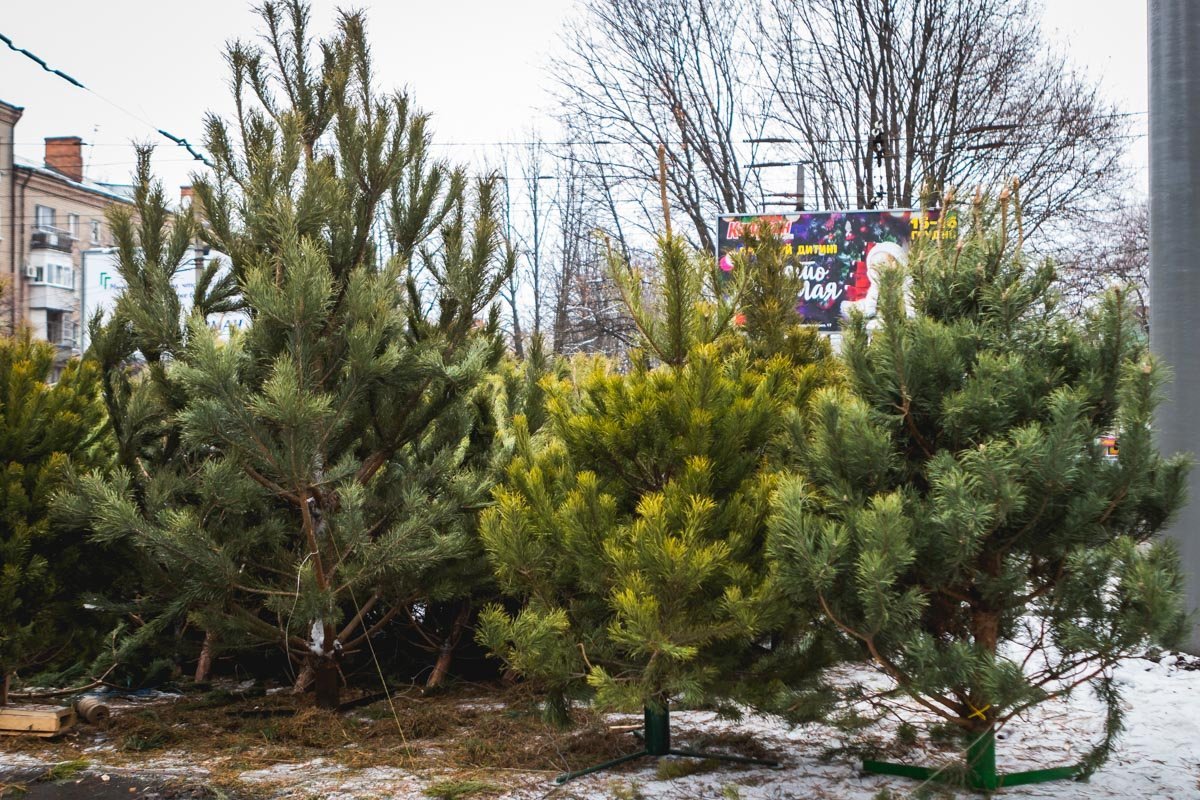 На любой вкус