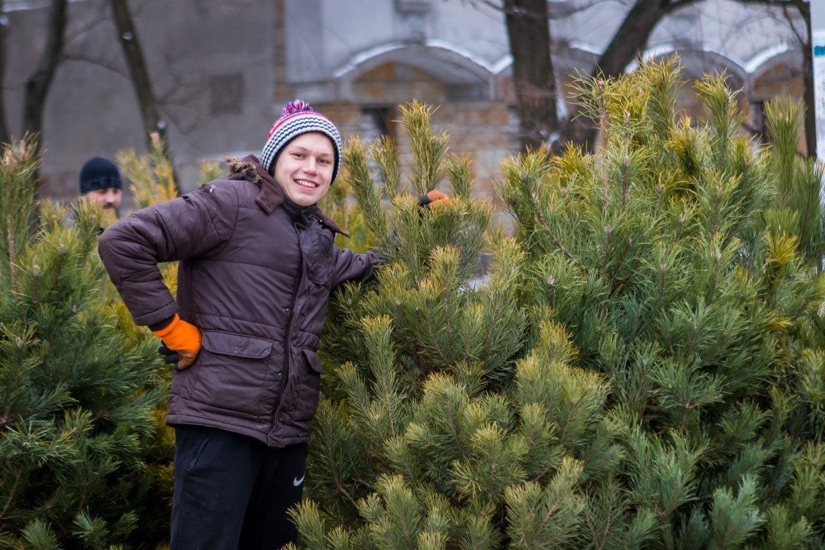 Вот так должно выглядеть новогоднее настроение