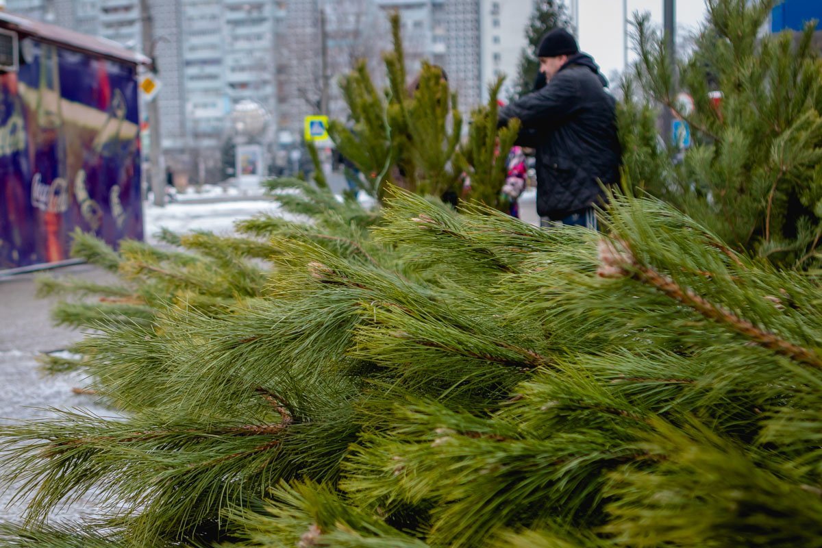 Чувствуете запах?