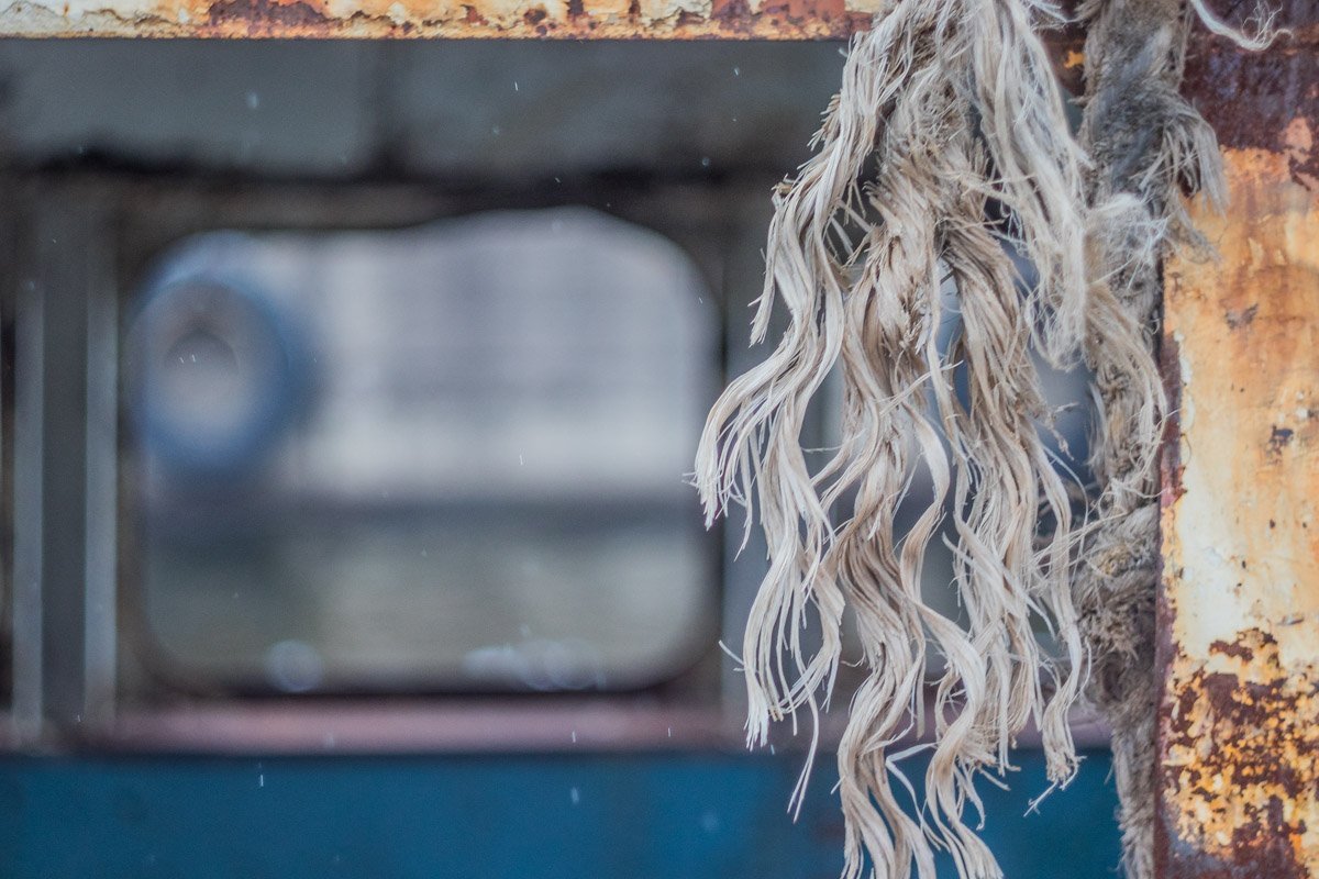 Ветер дергает за косы